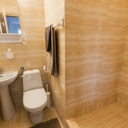 New Charming Apartment Bukarest